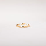 Twisted Golden Ring
