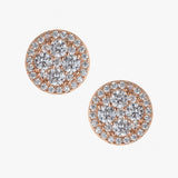 Rose Gold And Silver Circle Zircon Earrings