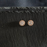 Rose Gold And Silver Circle Zircon Earrings